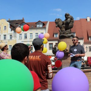 IDAHIT* in Wurzen