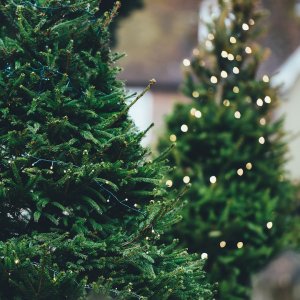 Abschied in die Winterpause