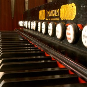 Sommerferienprogramm 2019